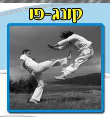 קונג פו